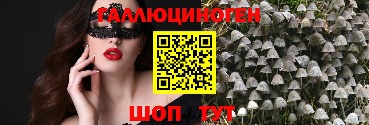 Псилоцибиновые грибы ЛСД Холмск